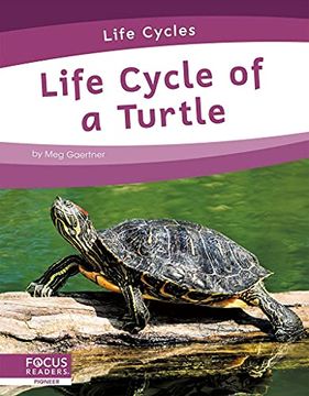 portada Life Cycle of a Turtle (en Inglés)