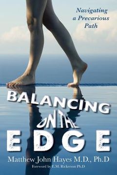 portada Balancing on the Edge: Navigating a Precarious Path (in English)