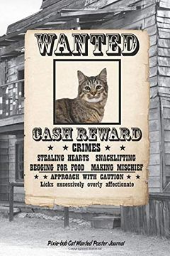 portada Wanted cat Pixie-Bob Not 