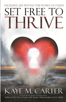 portada Set Free to Thrive: Exceeding Life Beyond This World of Chaos