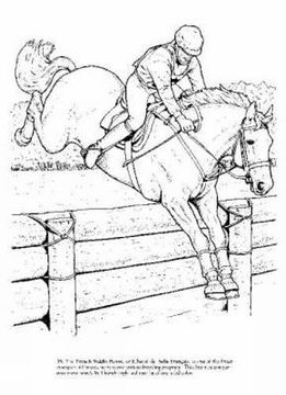 portada Big Book of Horses to Color (Dover Nature Coloring Book) (in English)