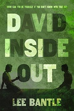portada David Inside out (in English)