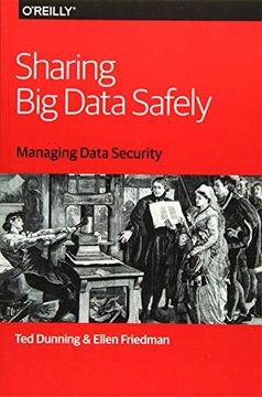 portada Sharing big Data Safely (en Inglés)
