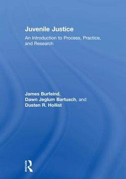 portada Juvenile Justice: An Introduction to Process, Practice, and Research (in English)