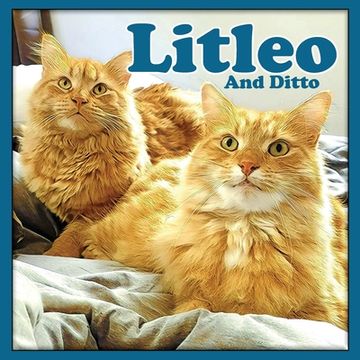 portada Litleo And Ditto (en Inglés)