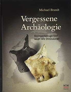 portada Vergessene Archäologie: Steinwerkzeuge Fast so alt wie Dinosaurier (en Alemán)