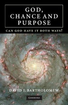 portada God, Chance and Purpose Paperback: Can god Have it Both Ways? (en Inglés)