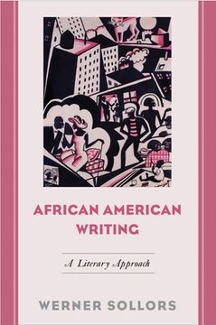 portada African American Writing: A Literary Approach (in English)