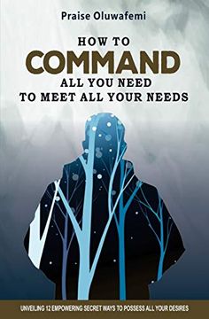 portada How to Command all you Need to Meet all Your Needs: Unveiling 12 Empowering Secret Ways to Possess all Your Desires (en Inglés)