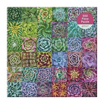 portada Succulent Spectrum: 500 Piece Puzzle (in English)