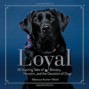 portada Loyal: 38 Inspiring Tales of Bravery, Heroism, and the Devotion of Dogs (en Inglés)