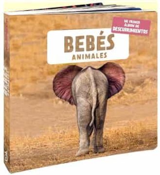 portada Bebes Animales (mi Primer Album de Descubrimientos) (in Spanish)