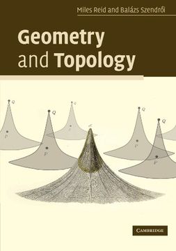 portada Geometry and Topology (en Inglés)