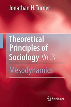 portada Theoretical Principles of Sociology, Volume 3: Mesodynamics
