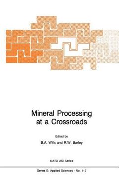 portada Mineral Processing at a Crossroads: Problems and Prospects (en Inglés)