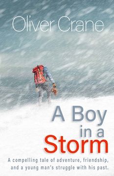 portada A Boy in a Storm (en Inglés)