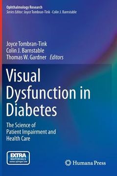 portada visual dysfunction in diabetes: the science of patient impairment and health care (en Inglés)