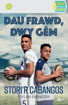 portada Stori Sydyn: Dau Frawd, dwy gêm (in Welsh)