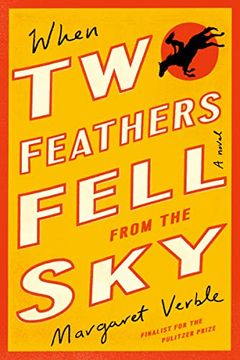 portada When two Feathers Fell From the sky (in English)