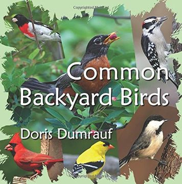 portada Common Backyard Birds