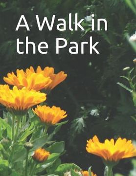 portada A Walk in the Park: A senior reader picture book for memory care / dementia care
