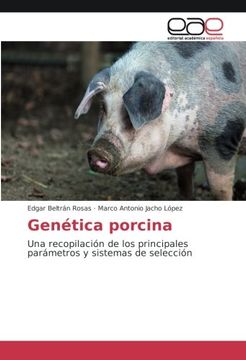portada Genética porcina: Una recopilación de los principales parámetros y sistemas de selección (Spanish Edition)