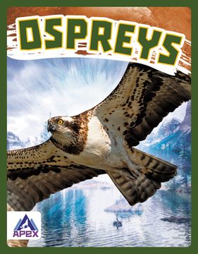 portada Ospreys (en Inglés)
