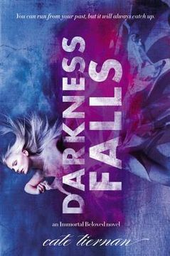 portada darkness falls (en Inglés)