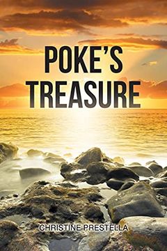 portada Poke'S Treasure 
