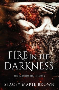 portada Fire in the Darkness (en Inglés)