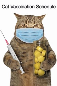 portada Cat Vaccination Schedule: Cat Kitten Vaccination Veterinary Log Book Organizer Schedule for Record (en Inglés)