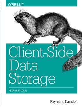 portada Client-Side Data Storage: Keeping It Local
