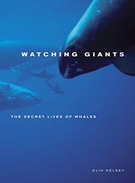 portada Watching Giants: The Secret Lives of Whales (en Inglés)
