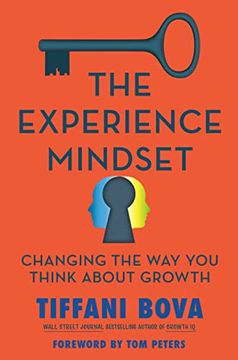 portada The Experience Mindset: Changing the way you Think About Growth 