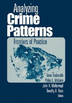portada analyzing crime patterns: frontiers of practice (in English)