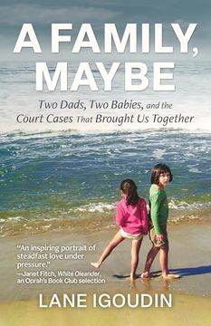 portada A Family, Maybe: Two Dads, two Babies, and the Court Cases That Brought us Together 