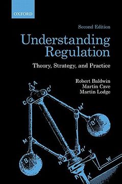 portada understanding regulation (in English)