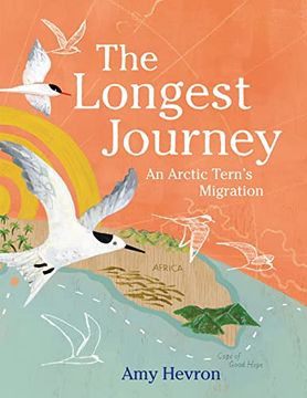 portada The Longest Journey: An Arctic Tern'S Migration (en Inglés)
