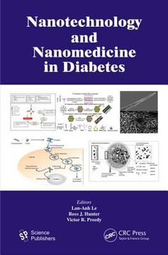 portada Nanotechnology and Nanomedicine in Diabetes (en Inglés)