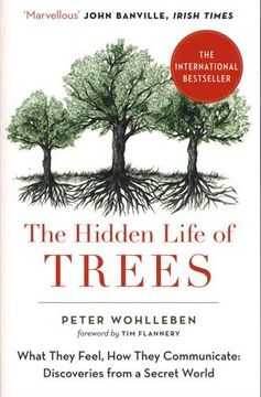 portada The Hidden Life of Trees: The International Bestseller - What They Feel, how They Communicate (in English)