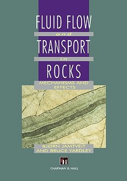 portada fluid flow and transport in rocks: mechanisms and effects (en Inglés)