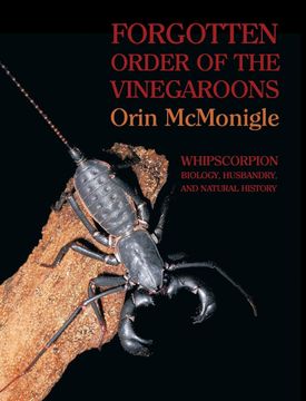 portada Forgotten Order of the Vinegaroons: Whipscorpion Biology, Husbandry, and Natural History (in English)