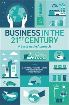 portada Business in the 21St Century: A Sustainable Approach (in English)