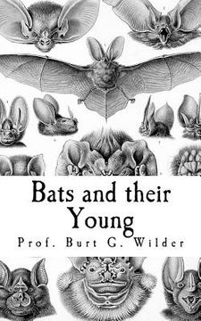 portada Bats and their Young (en Inglés)
