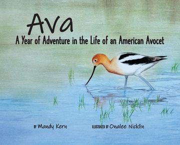 portada Ava: A Year of Adventure in the Life of an American Avocet (en Inglés)