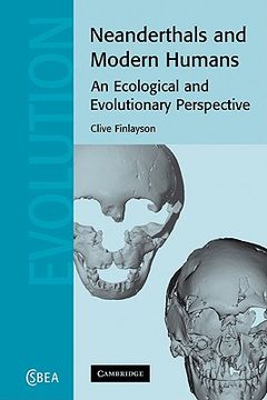 portada Neanderthals and Modern Humans Paperback (Cambridge Studies in Biological and Evolutionary Anthropology) (in English)