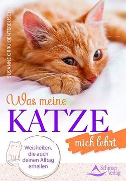 portada Was Meine Katze Mich Lehrt: Weisheiten, die Auch Deinen Alltag Erhellen (in German)