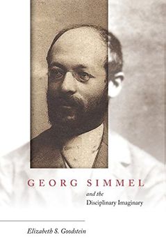 portada Georg Simmel and the Disciplinary Imaginary