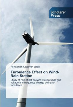portada Turbulence Effect on Wind-Rain Station