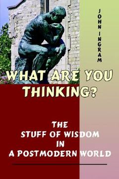 portada what are you thinking?: the stuff of wisdom in a postmodern world (en Inglés)